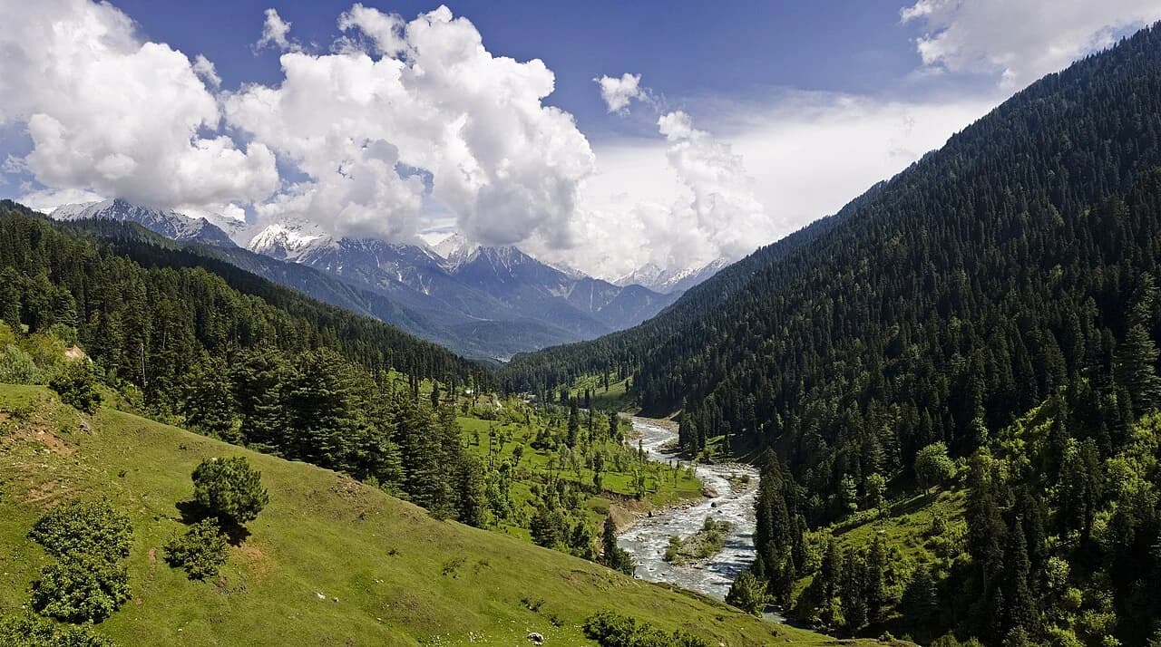 River and forested mountain valley in Pahalgam, Kashmir